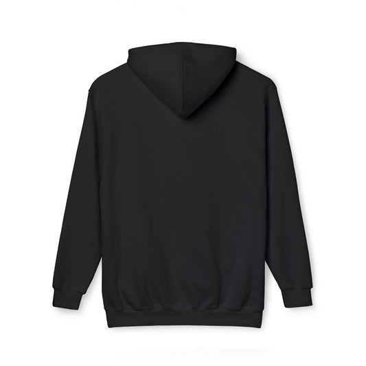 Dinosaur Graphic Hoodie