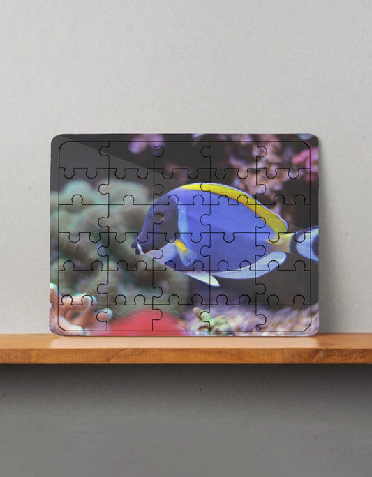 Blue Fish Puzzle  