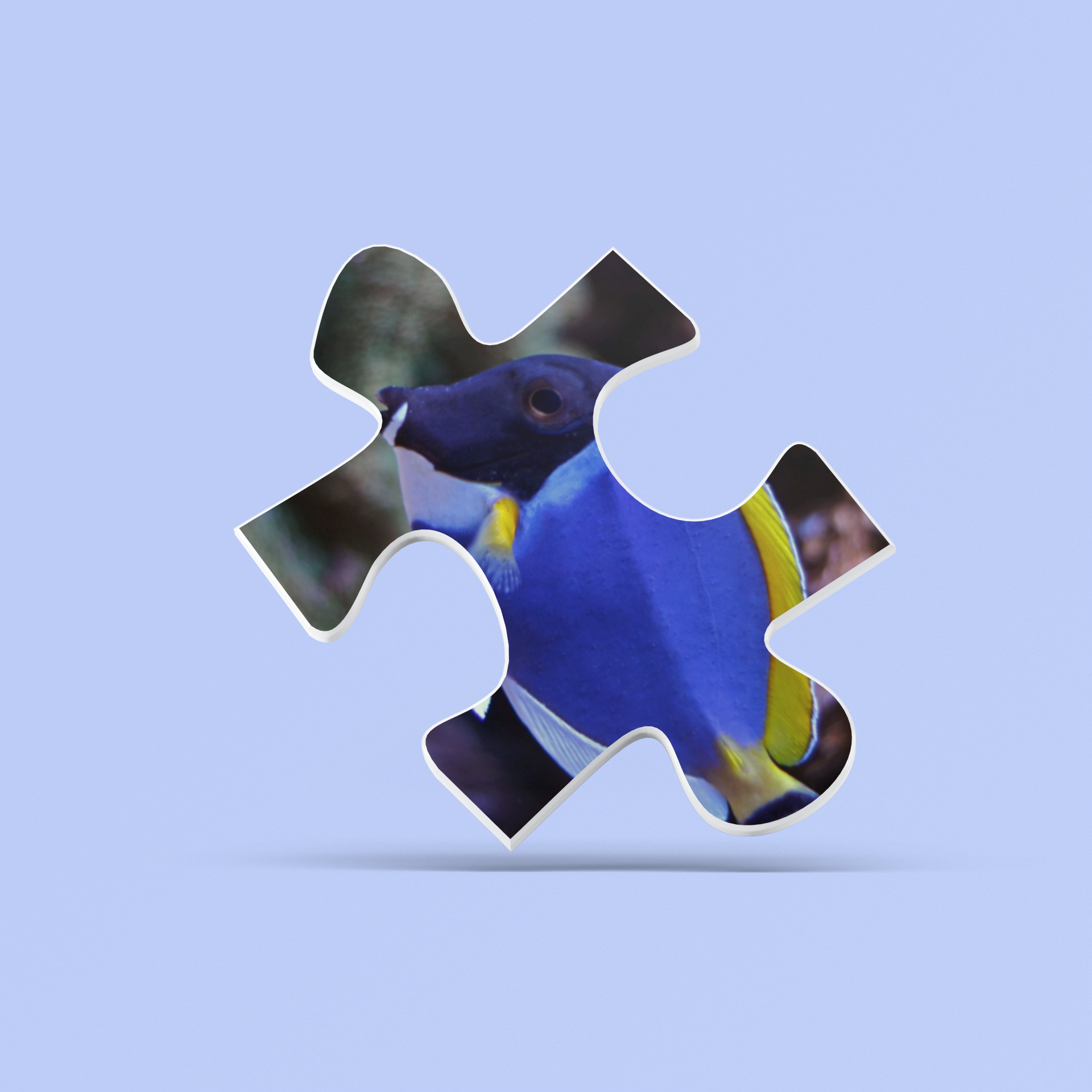 Jigsaw puzzle piece with a colorful fish design on a light blue background