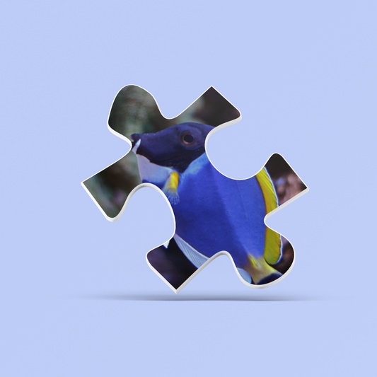 Jigsaw puzzle piece with a colorful fish design on a light blue background